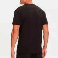 CAMISETA REGULAR LINEAR LOGO