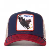 Gorra The Freedom Eagle  GOORIN BROS