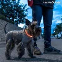 Collar INNOVAGOODS Mascotas Led Naranja 0.5W (90830)