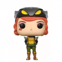 FUNKO Pop Hawkgirl Dc Comics Bombshells 223