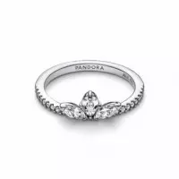 PANDORA Spamtimeless/spamanillo Herbario Brillante 192392C01