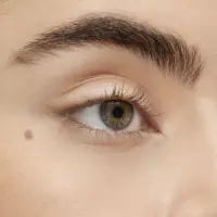 Lancôme Flutter Ext  LANCOME