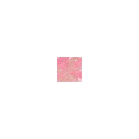 SISLEY Palette L'orchidée Rose