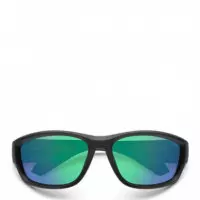 Gafas de Sol Pld Pld 2166/S  POLAROID