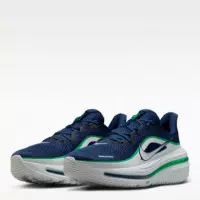 Zapatilla Winflo 12  NIKE