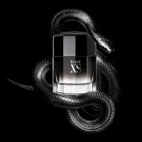 Black Xs  RABANNE