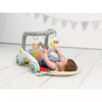 Gimnasio Actividades 6 en 1  OLMITOS