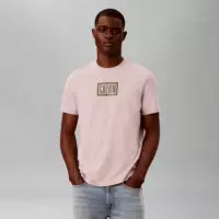 Camiseta 30S Eu Boxed  CALVIN KLEIN