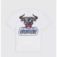 Camiseta DICKIES Lakeridge