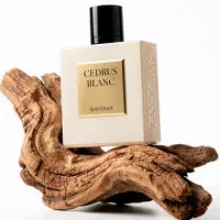 Cedrus Blanc