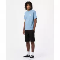 DICKIES - Slim Flex - Short Work