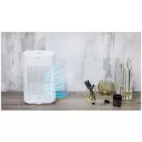 Bigdry 2500 Essential 360  CECOTEC