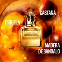 JEAN PAUL GAULTIER Scandal Absolu Pour Homme Parfum